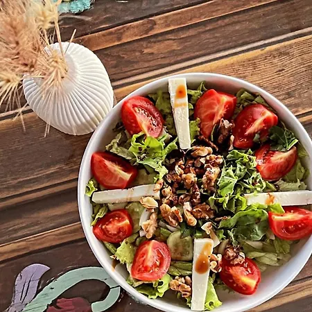 Hotel Elies Tiny Glamping *