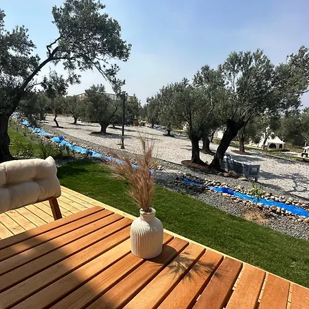 Отель Elies Tiny Glamping *