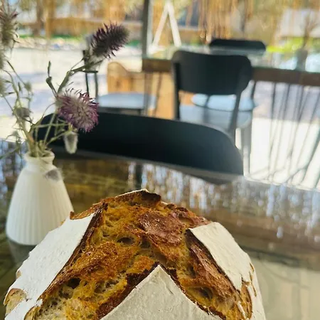 酒店 Elies Tiny Glamping Ayvalı