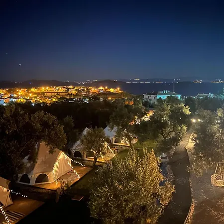 Elies Tiny Glamping * Ayvalı