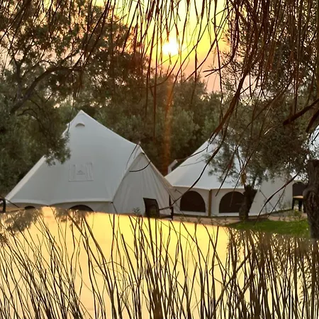 Elies Tiny Glamping 호텔