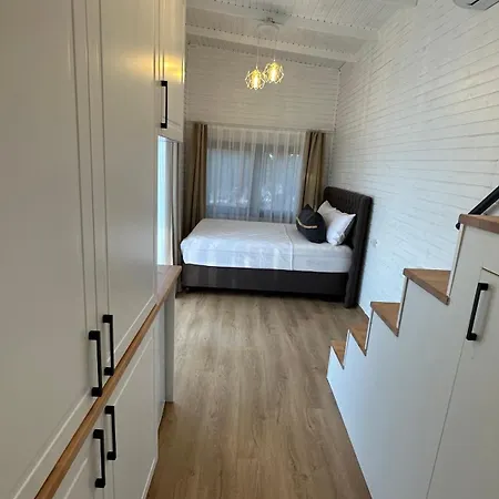 ホテル Elies Tiny Glamping