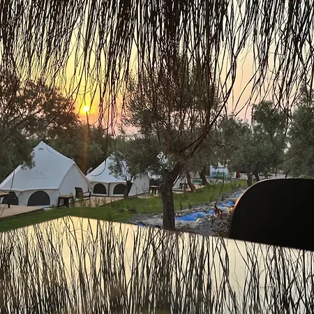 Elies Tiny Glamping 호텔